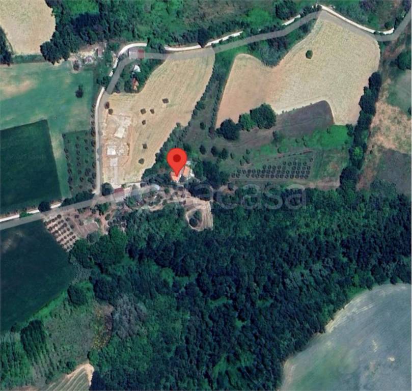 immagine annuncio 11 di 14