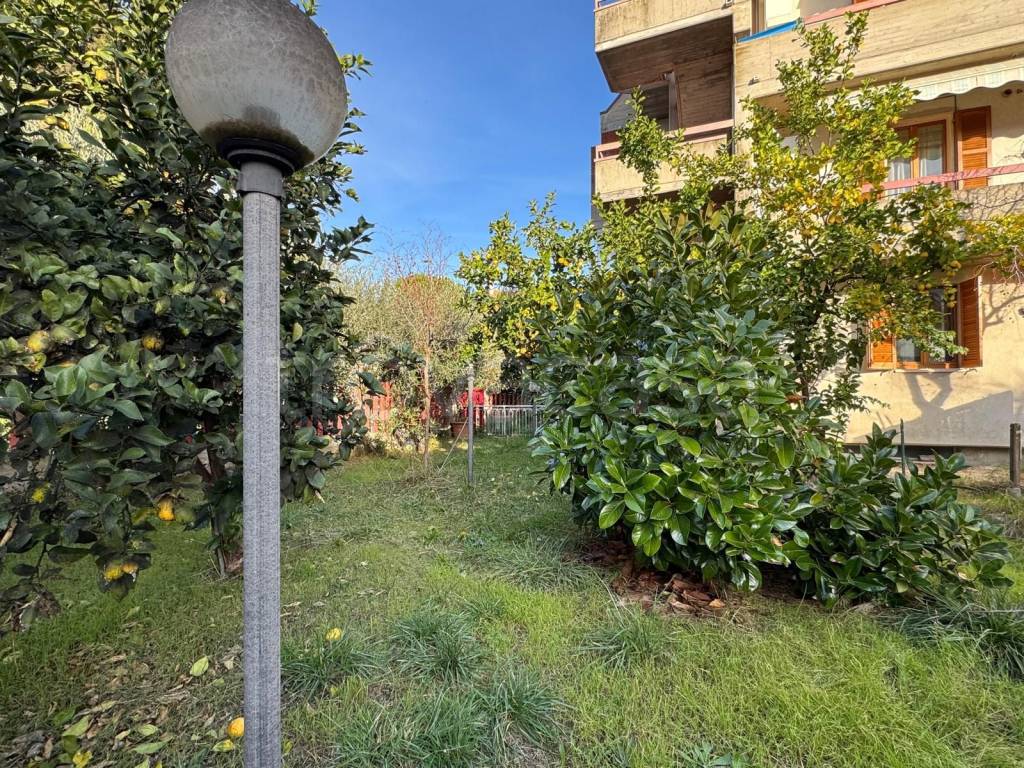 immagine annuncio 7 di 15