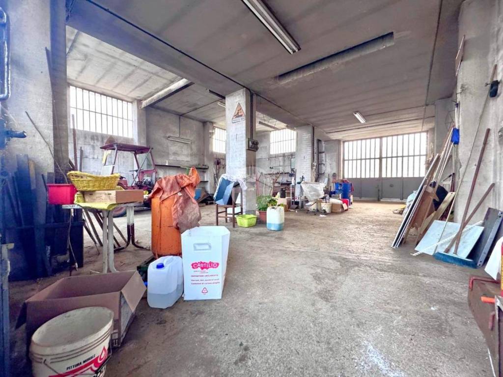 immagine annuncio 11 di 15