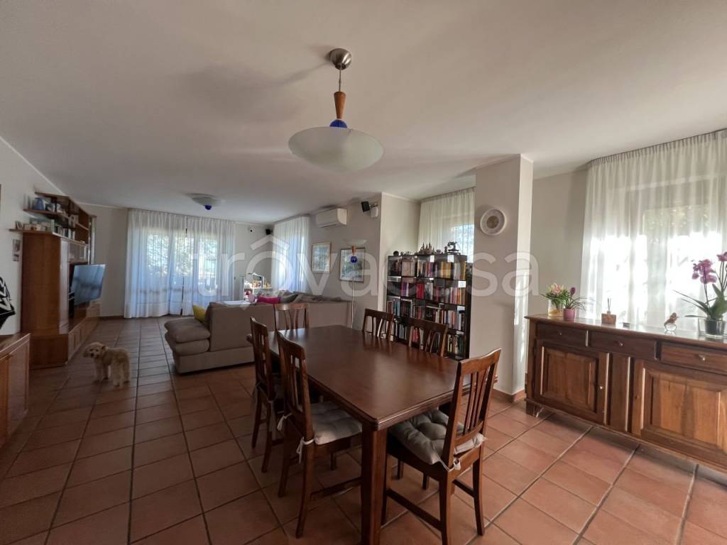 immagine annuncio 9 di 15