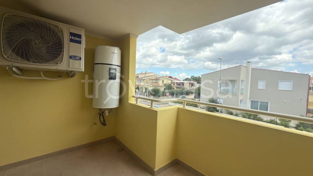 immagine annuncio 10 di 12