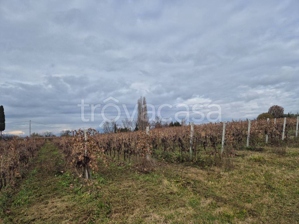 immagine annuncio 4 di 6