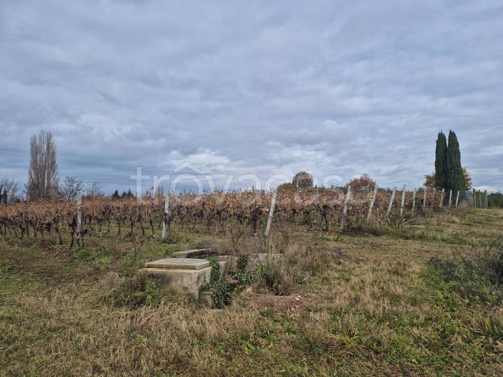 immagine annuncio 5 di 6