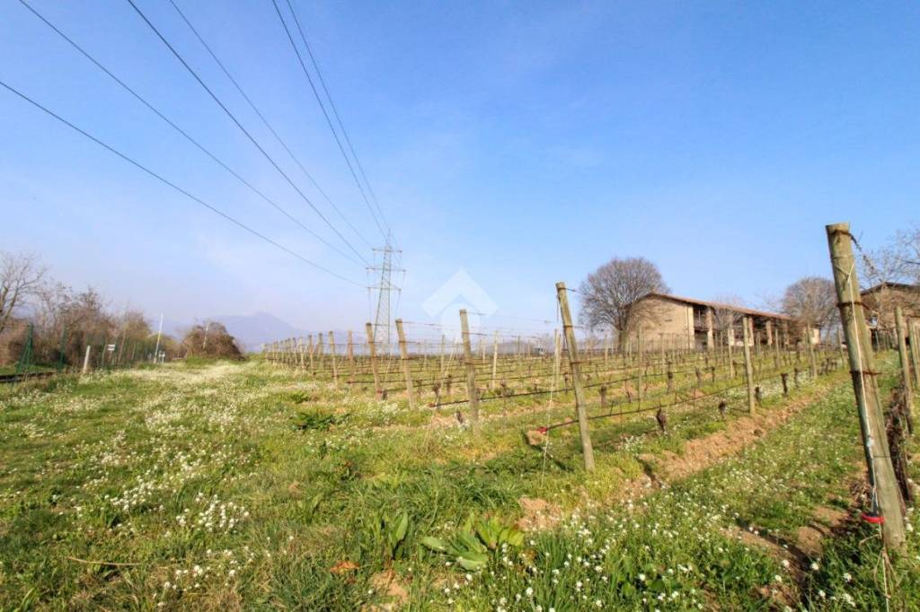 immagine annuncio 3 di 14