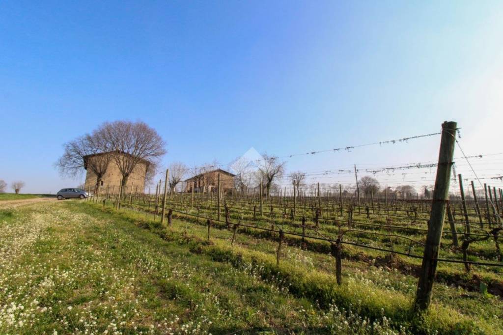 immagine annuncio 5 di 14