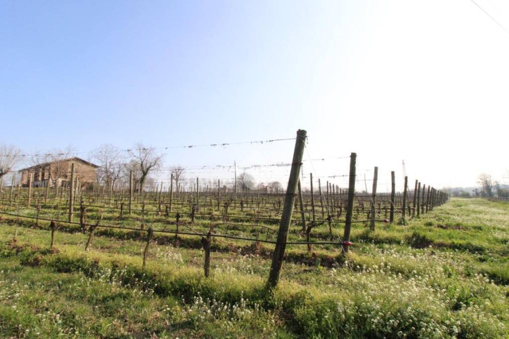 immagine annuncio 8 di 14