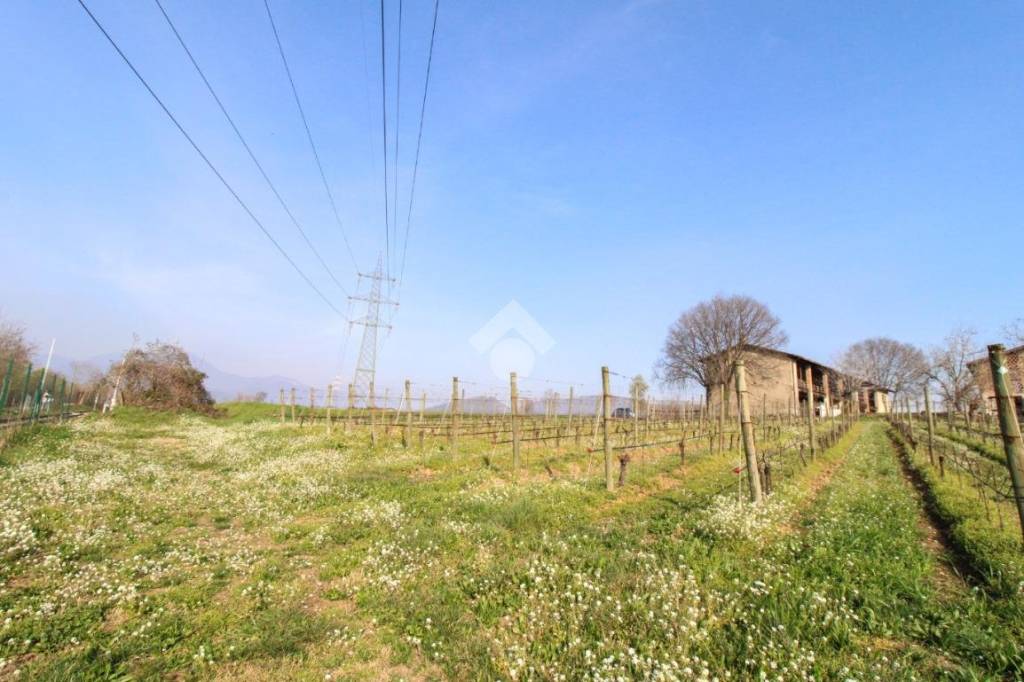 immagine annuncio 9 di 14