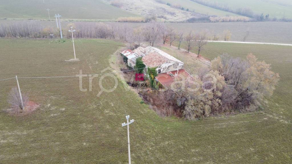 immagine annuncio 4 di 6