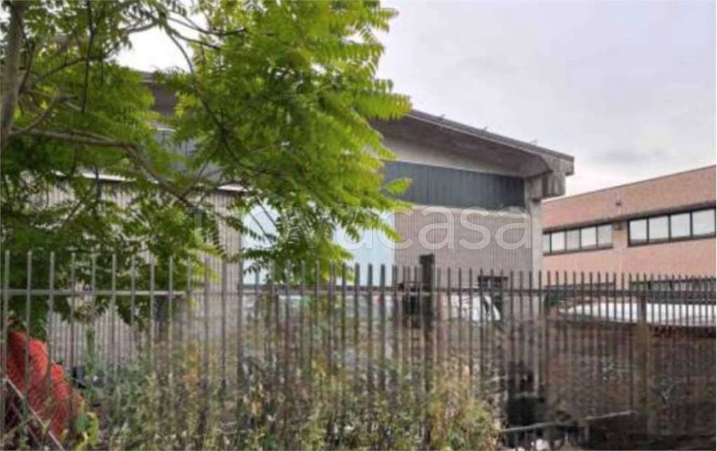 immagine annuncio 1 di 9