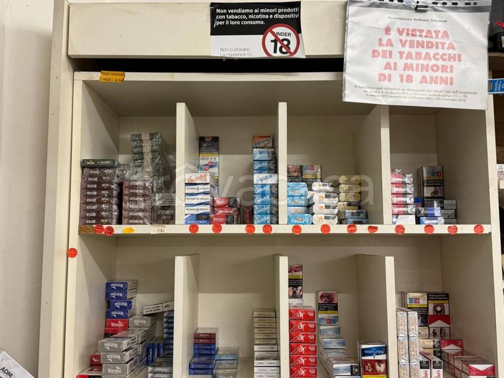 immagine annuncio 14 di 15