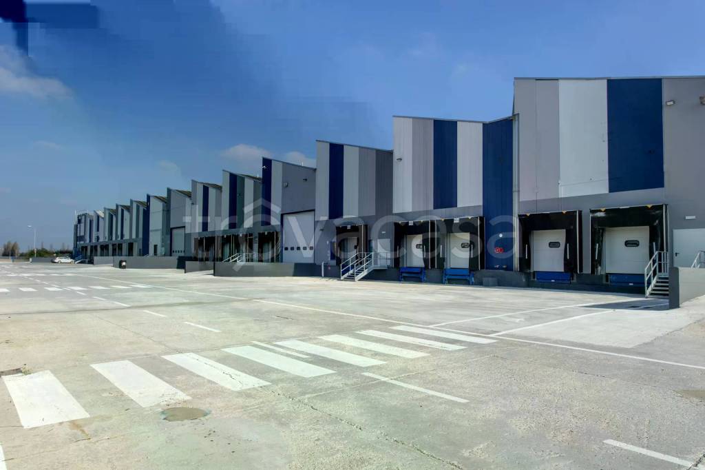 immagine annuncio 2 di 7