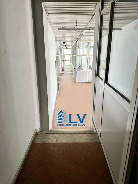 immagine annuncio 10 di 14