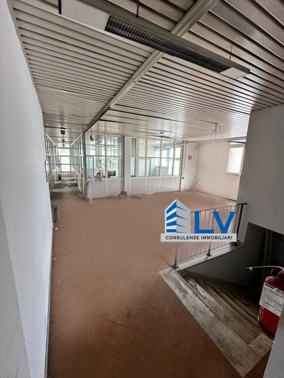 immagine annuncio 13 di 14