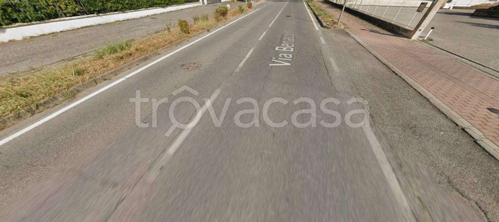 immagine annuncio 3 di 11