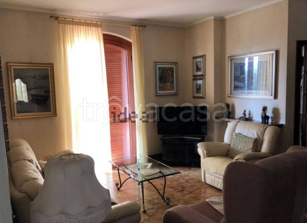 immagine annuncio 3 di 12