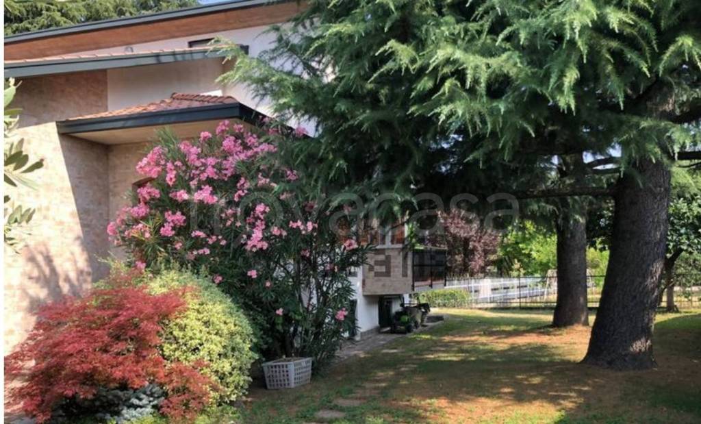 immagine annuncio 5 di 12