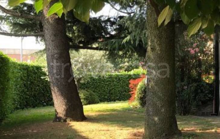 immagine annuncio 6 di 12