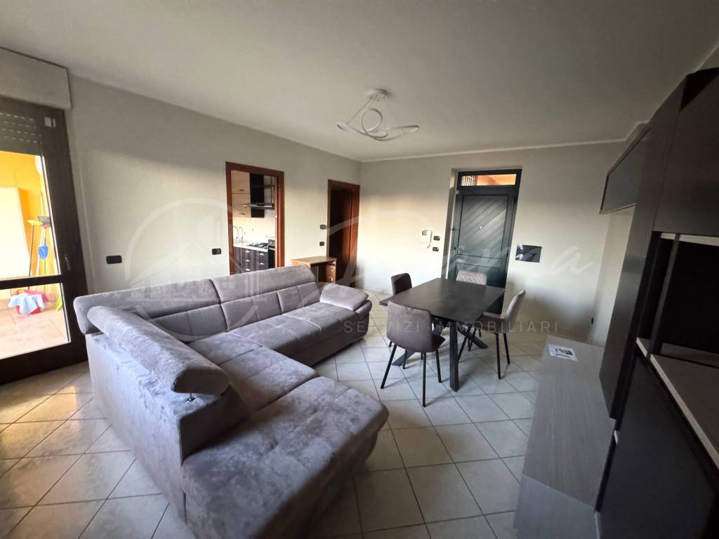 immagine annuncio 3 di 14