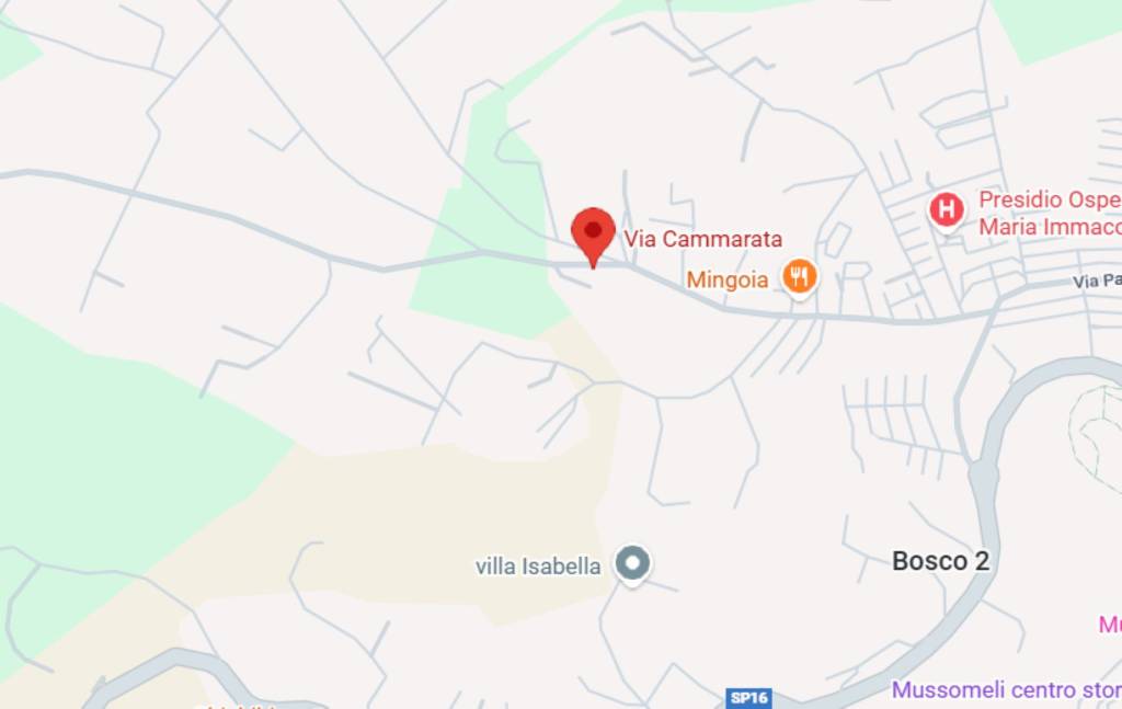 immagine annuncio 4 di 12