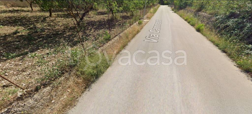 immagine annuncio 9 di 12