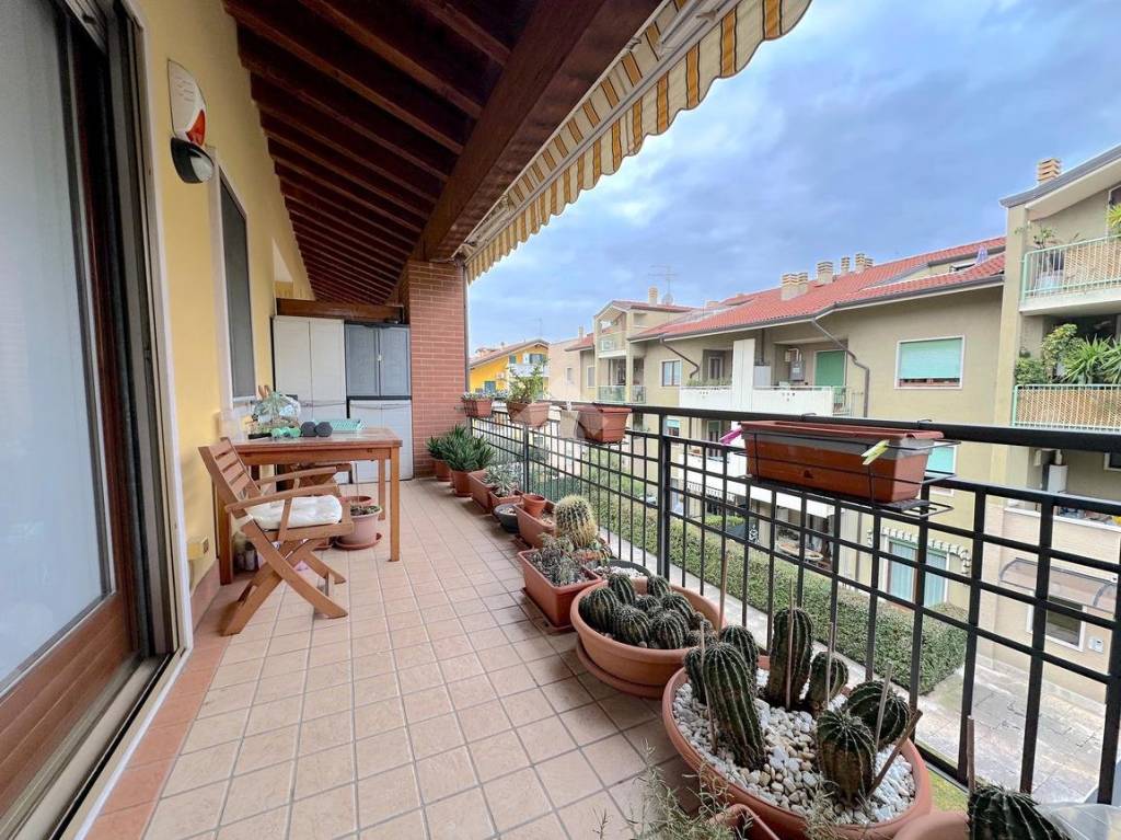 immagine annuncio 6 di 15