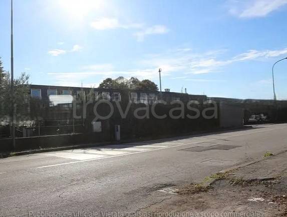 immagine annuncio 10 di 12