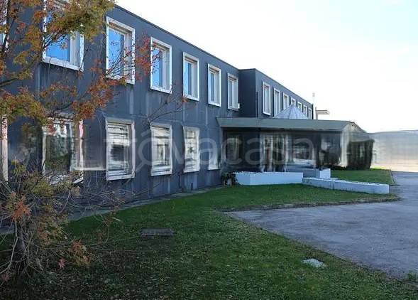 immagine annuncio 11 di 12