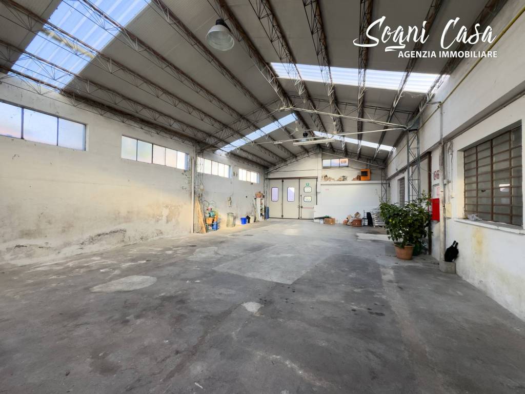 immagine annuncio 4 di 15