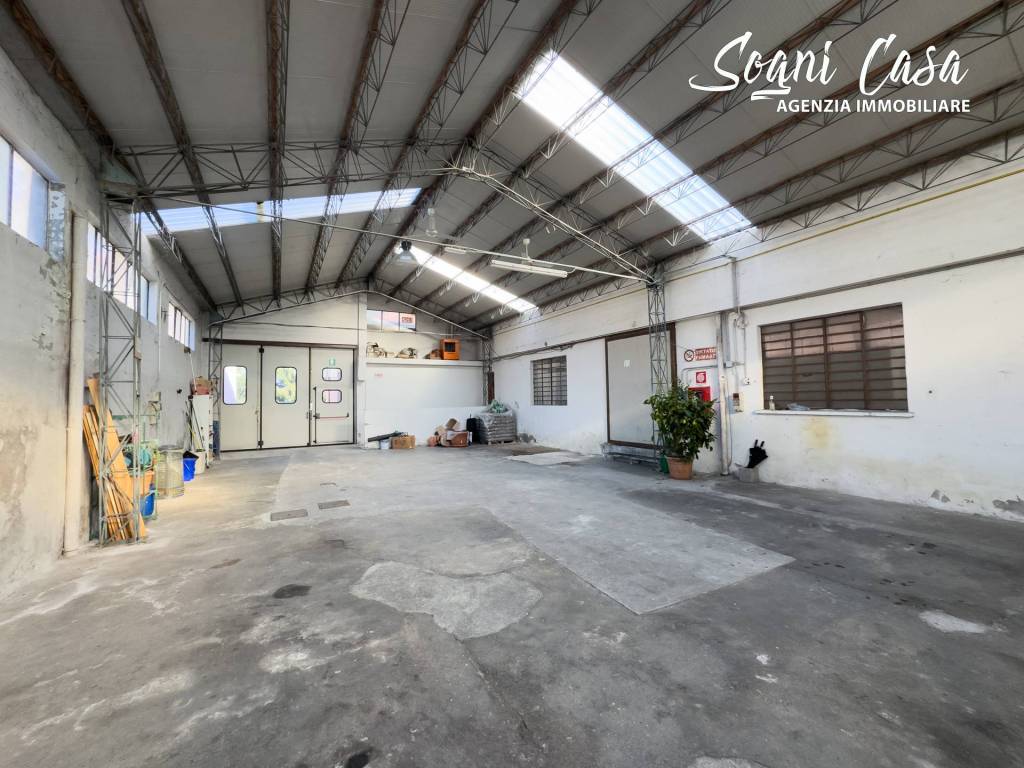 immagine annuncio 5 di 15