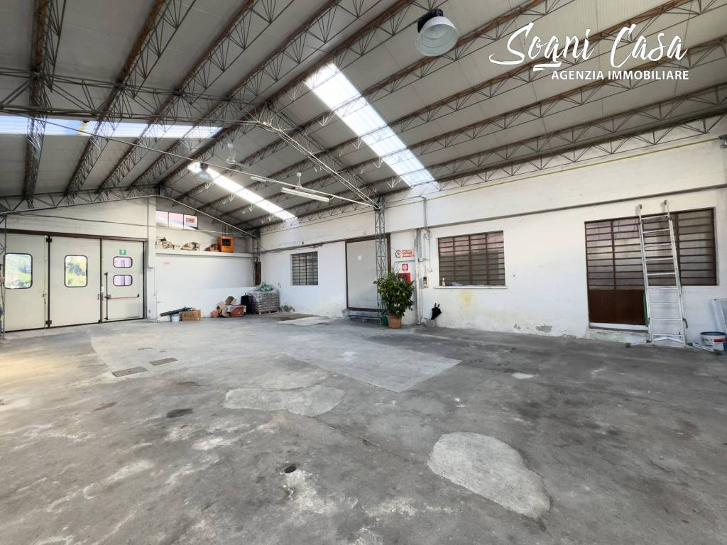 immagine annuncio 6 di 15