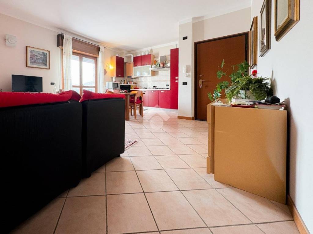 immagine annuncio 3 di 13