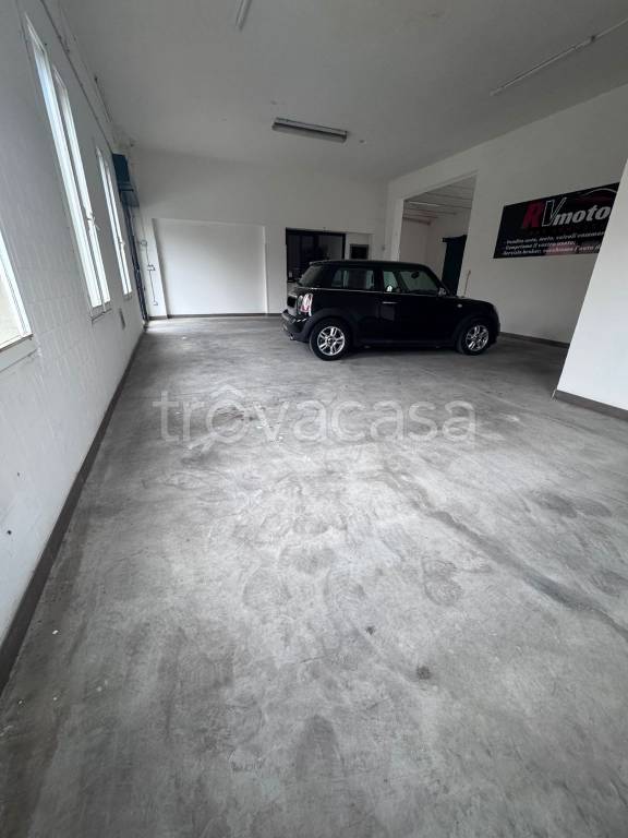 immagine annuncio 2 di 8