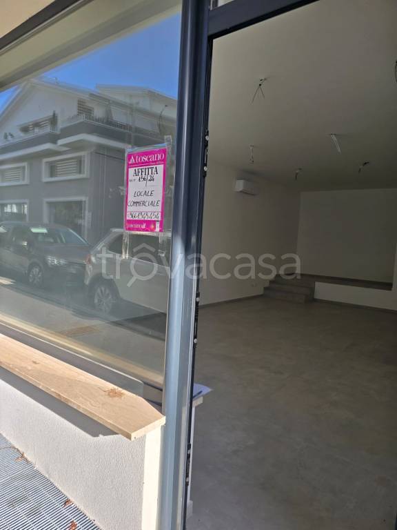 immagine annuncio 4 di 6