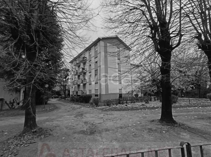 immagine annuncio 1 di 14