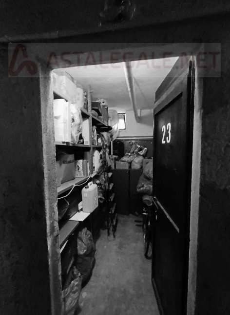 immagine annuncio 7 di 14