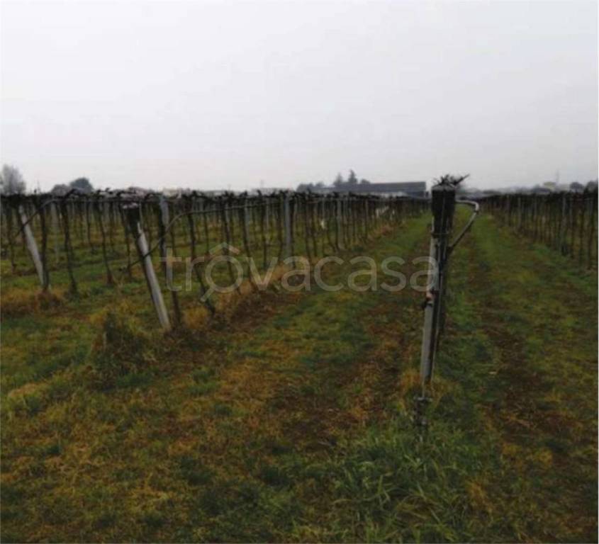 immagine annuncio 6 di 14