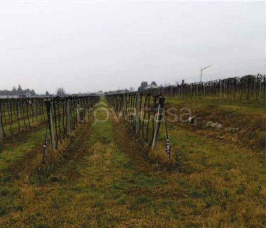 immagine annuncio 9 di 14