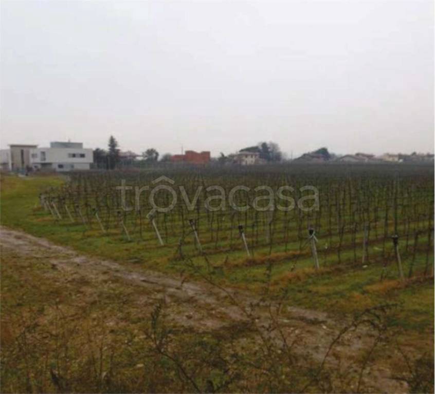 immagine annuncio 11 di 14