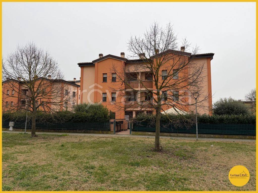 immagine annuncio 10 di 15