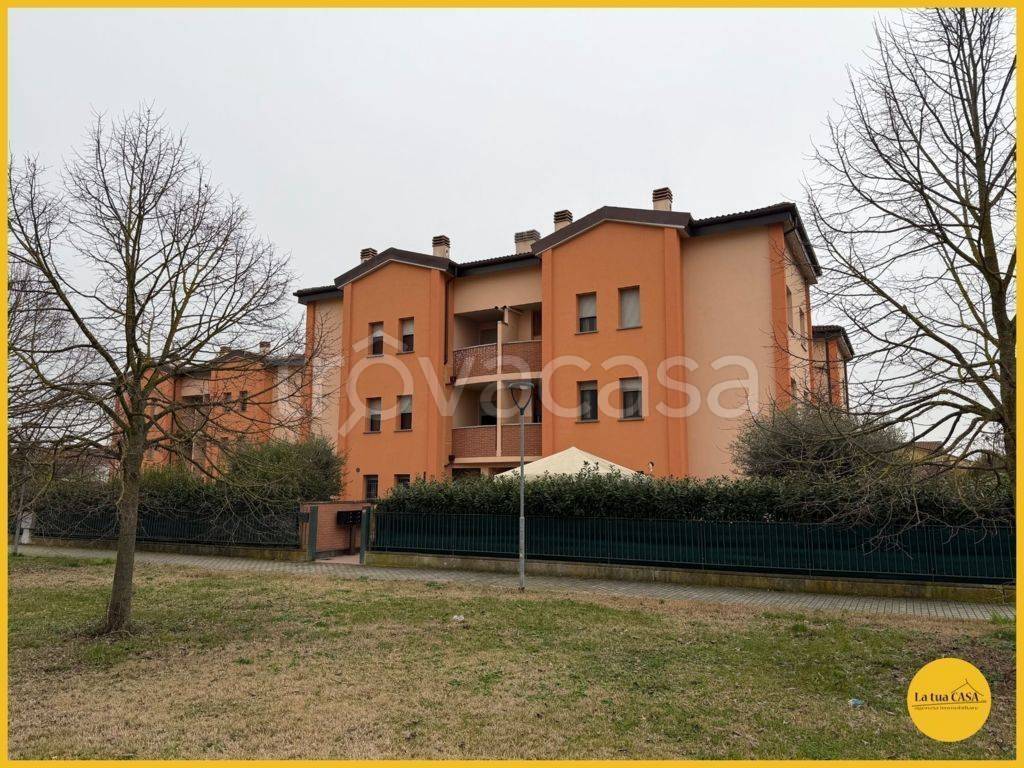 immagine annuncio 11 di 15