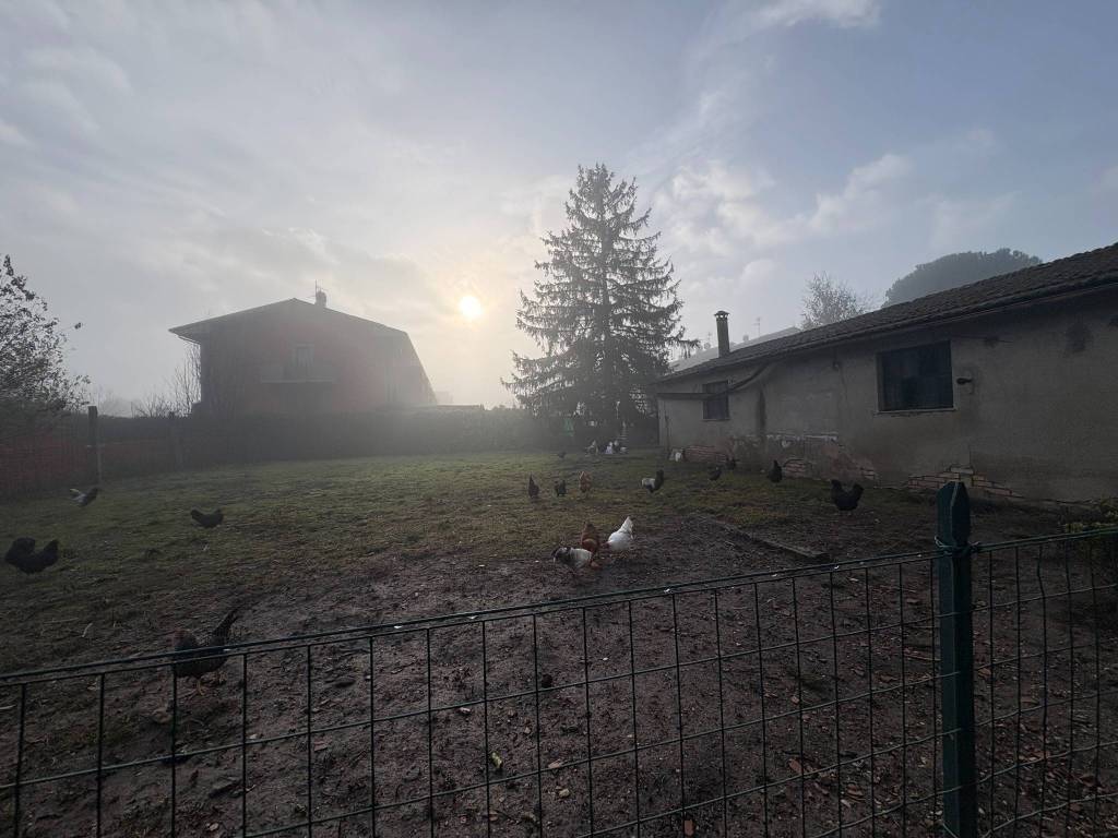 immagine annuncio 1 di 13