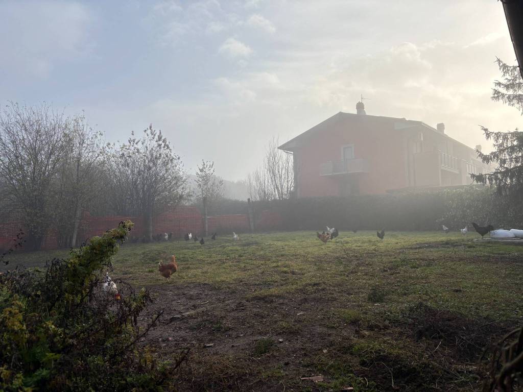 immagine annuncio 2 di 13