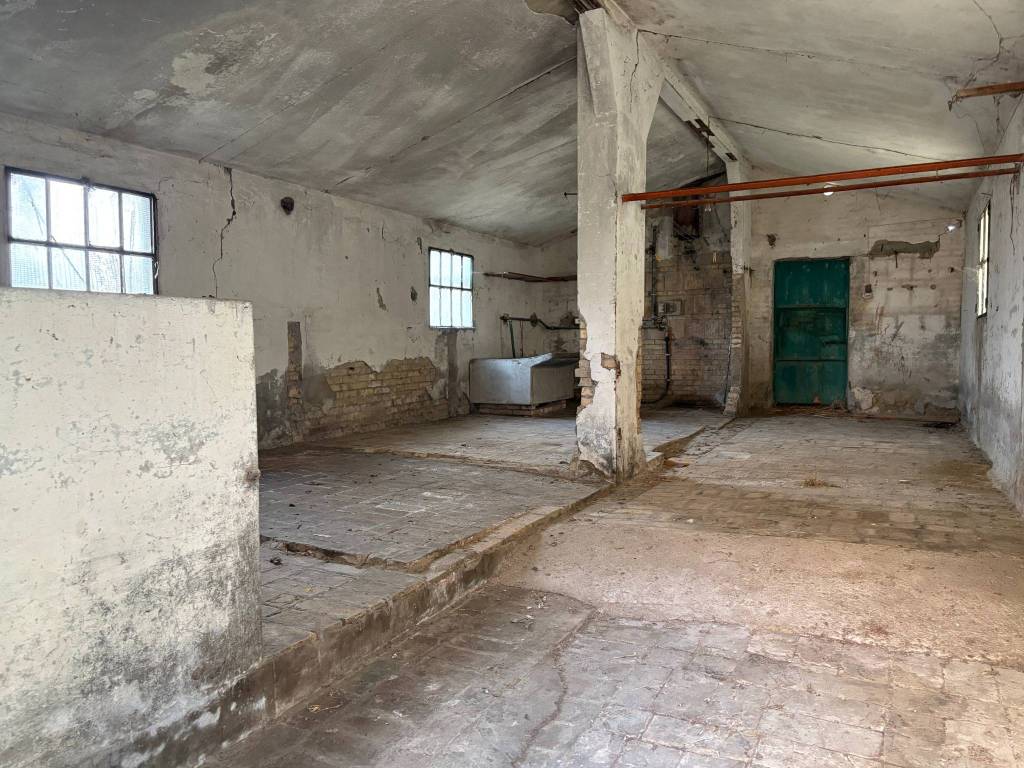 immagine annuncio 3 di 13