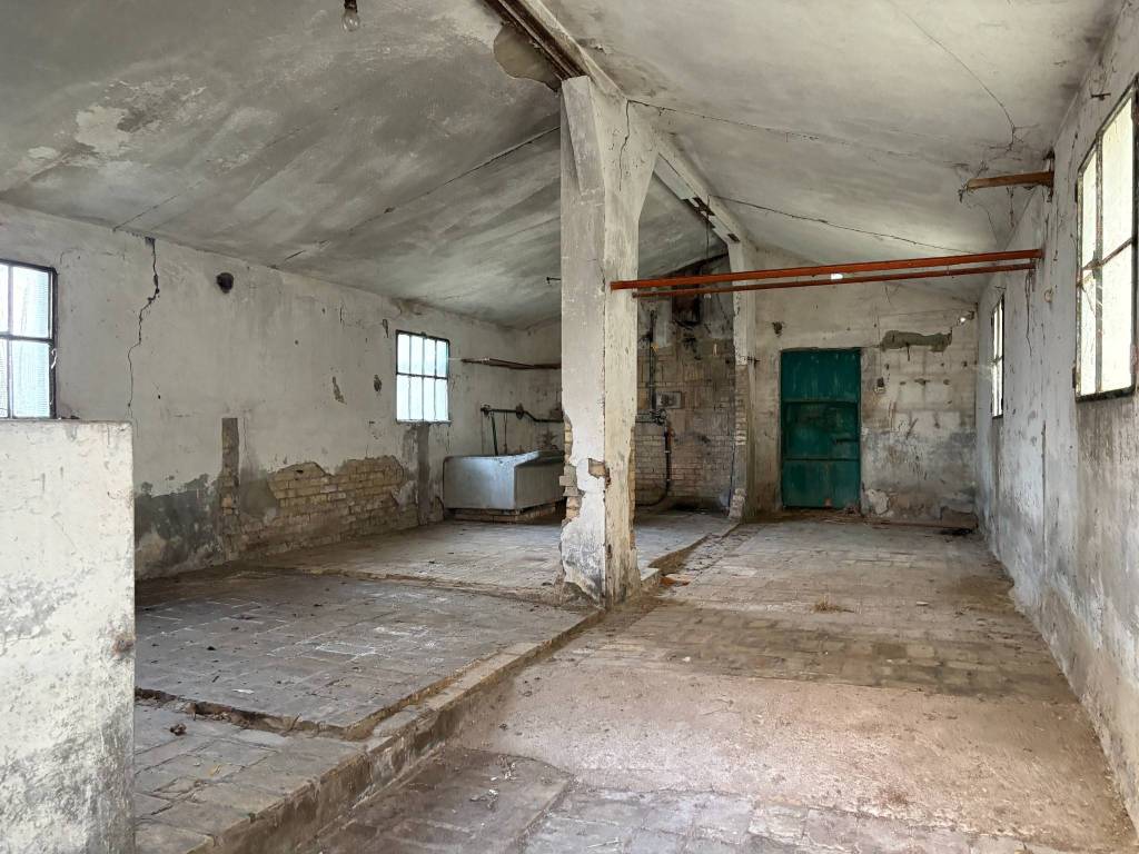 immagine annuncio 6 di 13