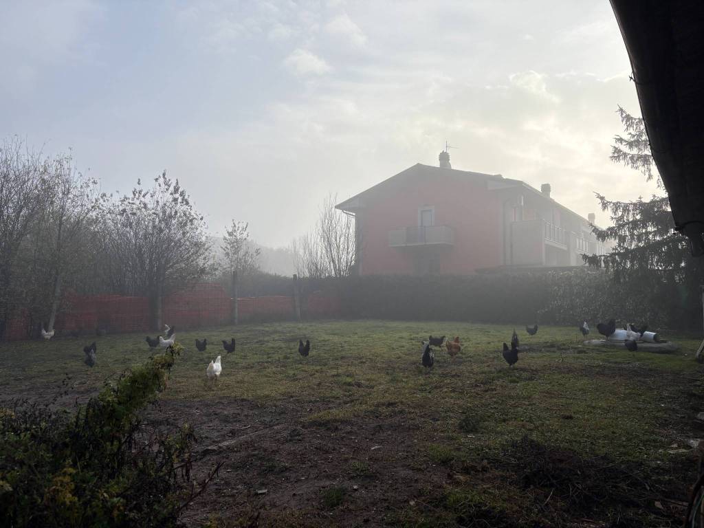 immagine annuncio 7 di 13