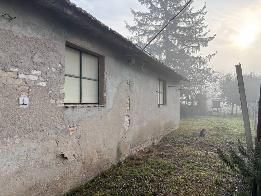 immagine annuncio 9 di 13