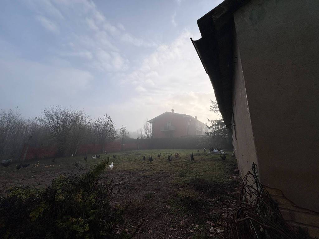 immagine annuncio 10 di 13