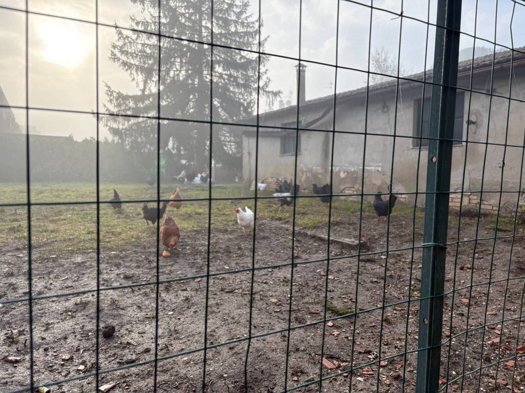 immagine annuncio 11 di 13