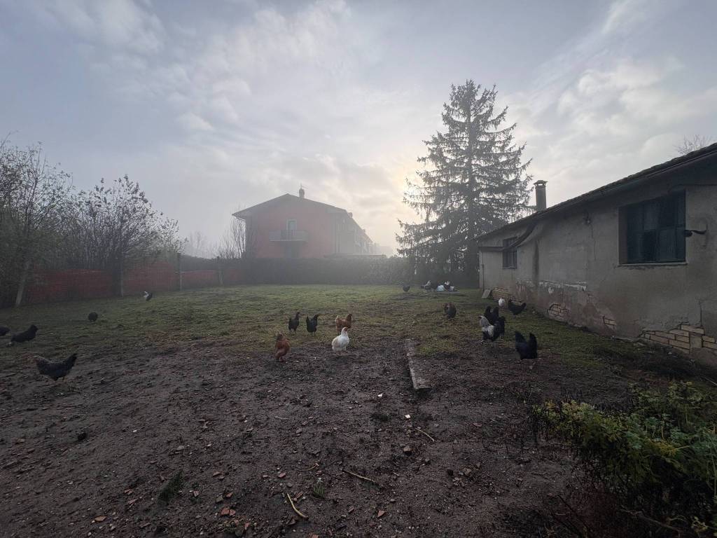 immagine annuncio 12 di 13