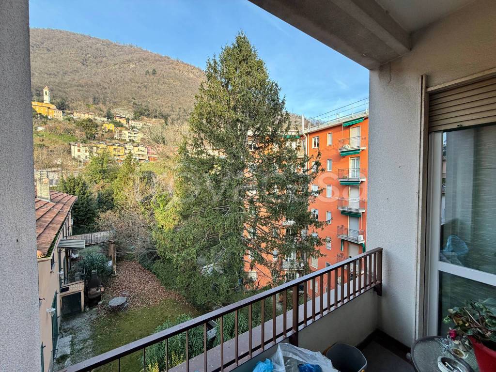 immagine annuncio 6 di 14